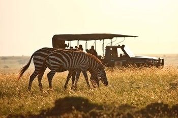 Elephant Pepper Camp Масаї-Мара Екстер'єр фото