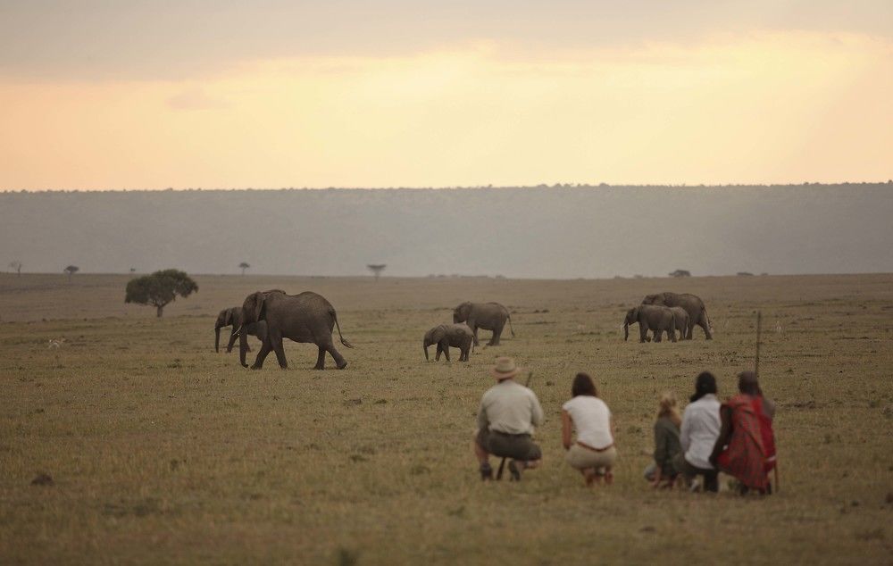 Elephant Pepper Camp Масаї-Мара Екстер'єр фото